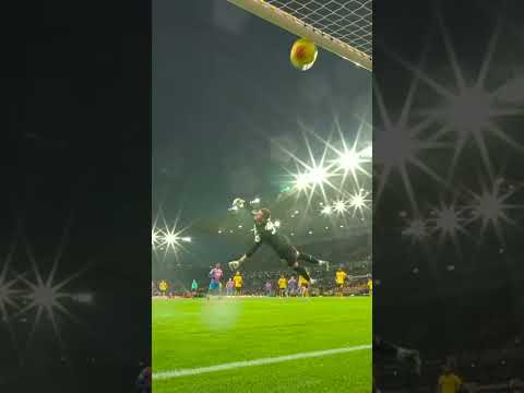 This Angle of Pino's Goal 😍 #spain #crystalpalace #premierleague