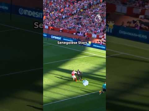 Senegalese STARS 🇸🇳🌟