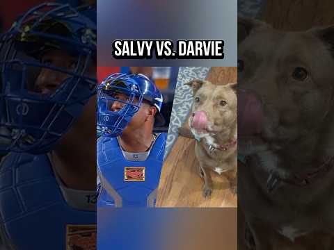 Salvy waiting on his ABS challenge vs. my dog Darvie waiting for my breakfast. 🤣 #mlb