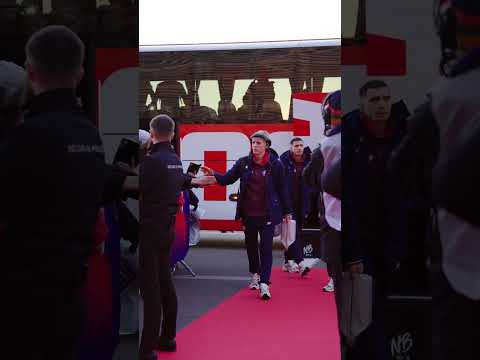 Nos Dogues sont là 😤 #LOSCSB29