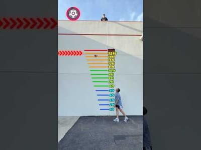 Which Ball Bounces the Highest?