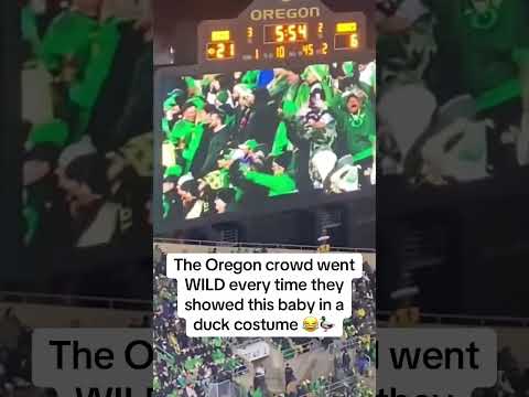 Crowd definitely understood the assignment 😂👏 (via @breannagreene_/X)