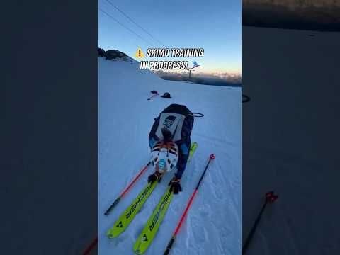 Get used to seeing these transitions at #MilanoCortina2026. 💪