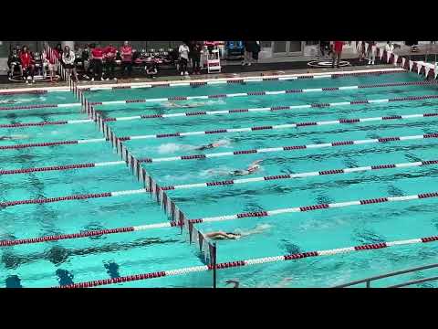W500 Free (Dobson, 4:32.96) - 2026 UGA Vs Tenn