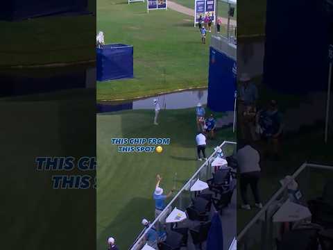 Bump and run by Angel Yin 🔥👀