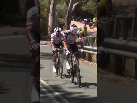 UAE Team Emirates DOMINATE Stage 2 of the Tour Down Under with a 1-2 for Jay Vine and Narvaez 🔥