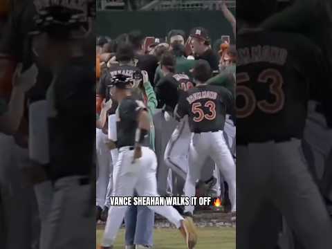 WE’VE GOT A WALK-OFF IN MIAMI 🙌 #miami #ncaabaseball #baseball #homerun #walkoff #collegesports