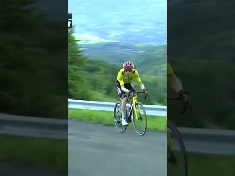 Jonas Vingegaard makes his first move at the Giro d’Italia ⚡️🐝⚡️🐝