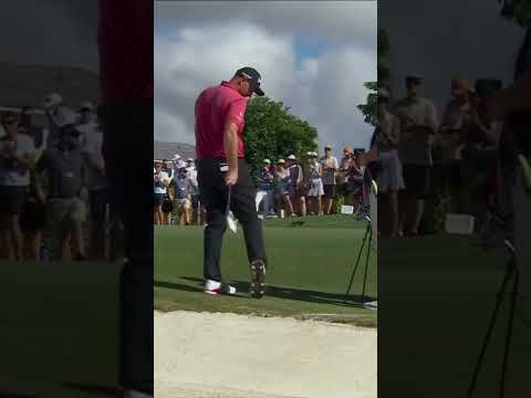 Sepp Straka had to DIG this one out ⛱️