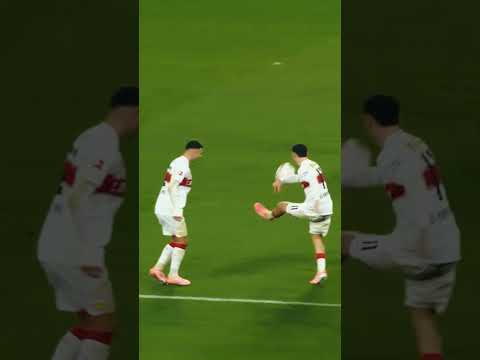 Zu drei Punkten gehamstert 🐹 #bundesliga  #fussball #undav