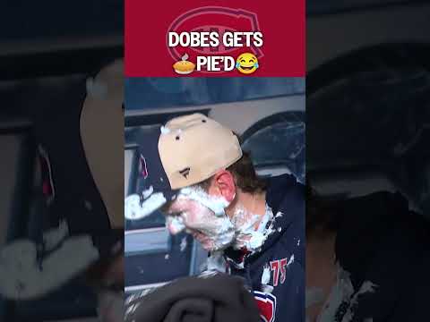 Pie to the Face for Dobes 🥧😂