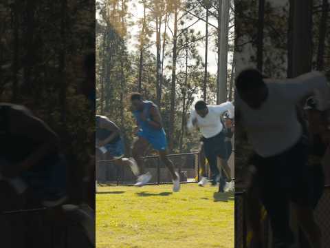 Fall season in effect