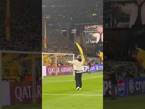 Reus is back home! 😍