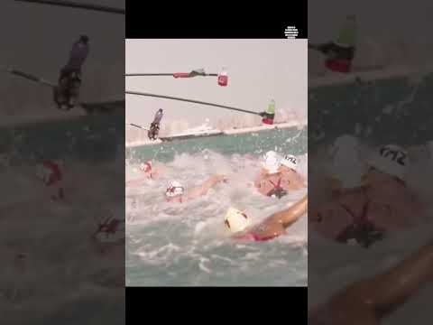 Open Water Swimming Explained: Dive Into the World Aquatics Championships #shorts