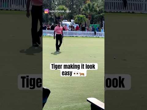Tiger Woods has unmatched swagger