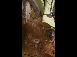 XX DH Transmission | Pays to Shift