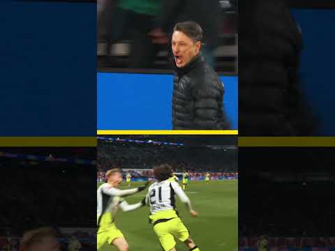 🫨 The REACTION to our last-minute goal 🆚 Leipzig… 💥 #LeipzigBVB