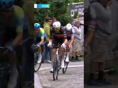 Tim Wellens is in his element 😍 The Belgian national champion has dropped the hammer on the Muur.