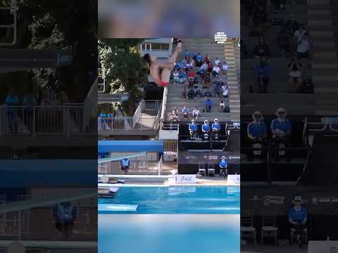 🇨🇳 YAN Xin Takes Gold in Boys 3m Springboard | Junior Diving Worlds 2024 🥇