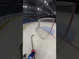 This feels like a dream 😍🏒