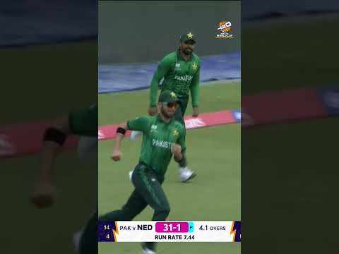 Babar Azam and Shaheen Afridi combine for a brilliant catch at the boundary line 😲 #t20worldcup