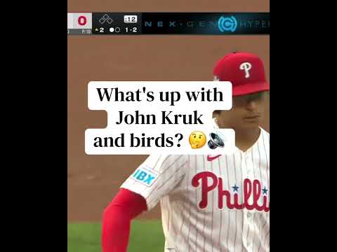 Birds 👀