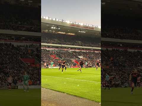 Chris Wood scores FIRST goal since returning from injury in HUGE Forest win 🙌