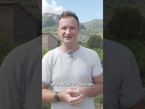 Marlen Reusser back on 🔝 A dream come true as she became a World Champion in the time trial 🇨🇭