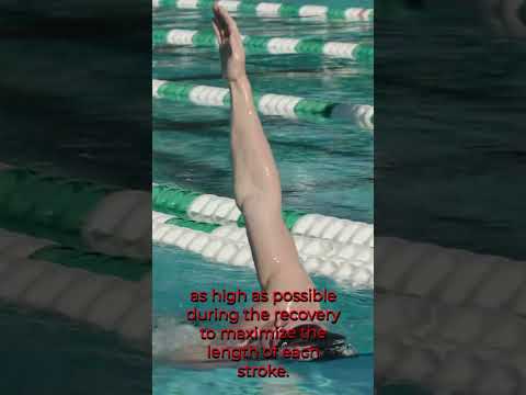 Backstroke Elevation Drill #theraceclub