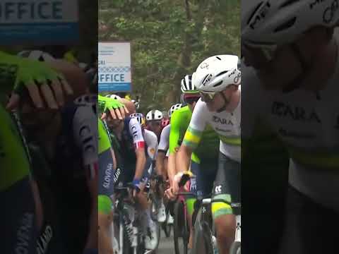 Friendly fire 😅 Novak nearly had some choice words until he looked across and saw his team-mate  😂