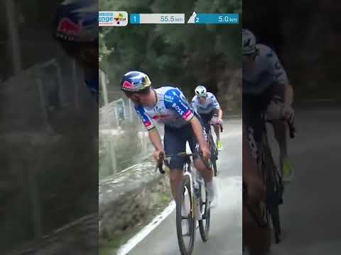 Remco Evenepoel stretches his legs 💪The Red Bull rider tests the waters in Mallorca