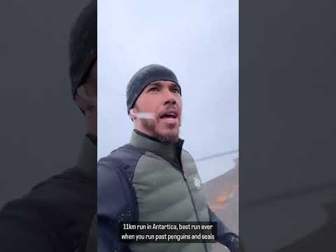 When Lewis Hamilton went training with penguins and seals in Antarctica 😅🥶 (via @lewishamilton/IG)