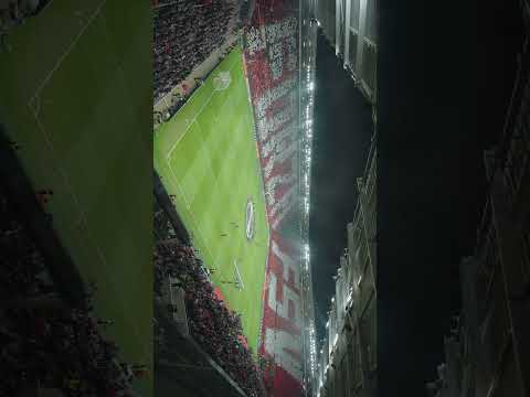 UECL returns to Mainz! 🏆