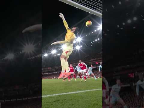 STUNNING DAVID RAYA SAVE!