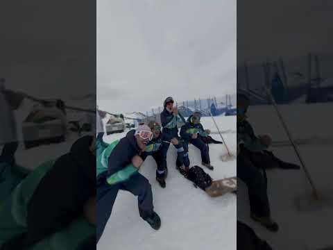 Drop in to snowboard halfpipe at the Winter Olympics 🏂