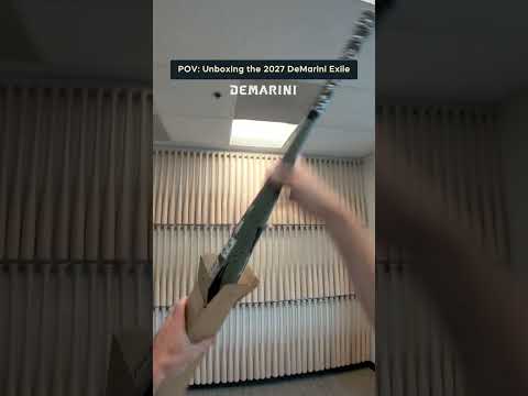 POV: You got the new DeMarini Exile