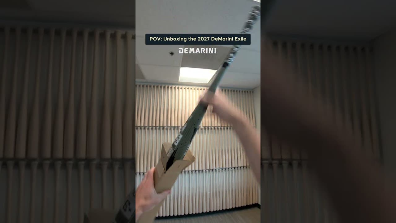 POV: You got the new DeMarini Exile