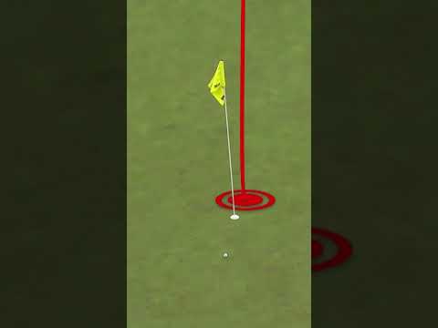 Two VERY DIFFERENT eagles 😳🦅