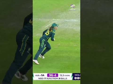Georgia Wareham chips in with a stunning catch to remove Laura Wolvaardt 😲 #T20WorldCup