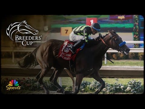 Betting the 2025 Breeders' Cup: Longines Distaff | NBC Sports