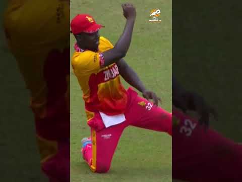 Sensational saves, accurate run-outs and spectacular catches make into @emirates Fly Better 👏