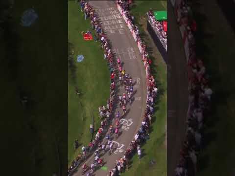 How easy was that?! 🫨 Pogacar left the field in his wake without even getting out of the saddle!