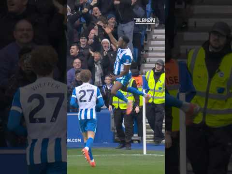 Welbeck Fires Forest Winners #brightonandhovealbion #dannywelbeck #nottinghamforest