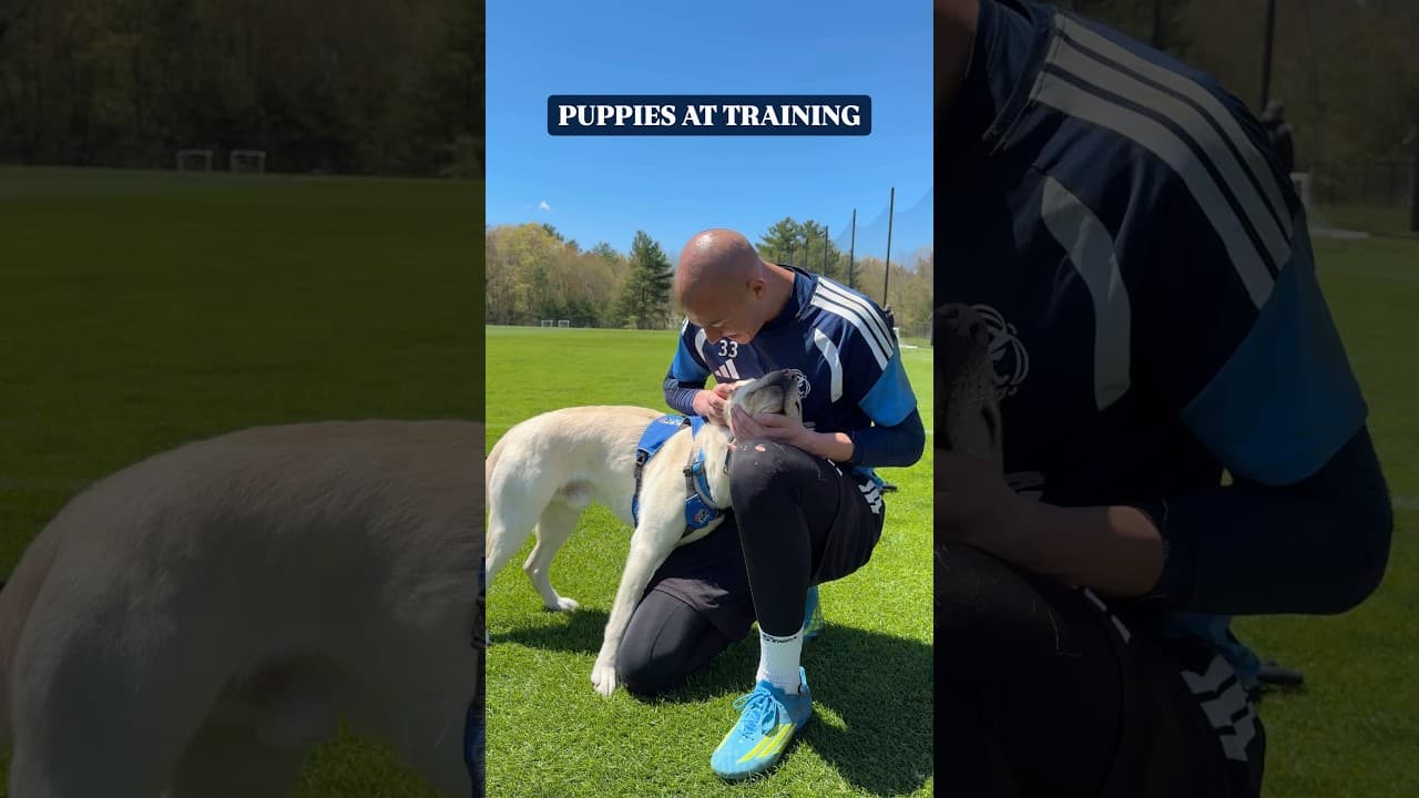 Puppies + sunshine! What more could we ask for!? 🥺