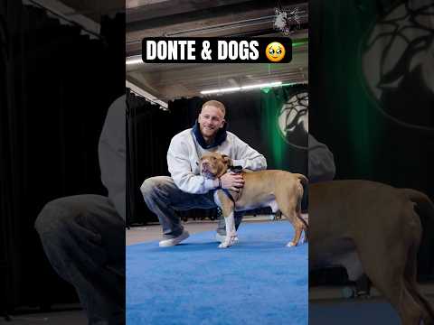 helping a great cause. 🐶