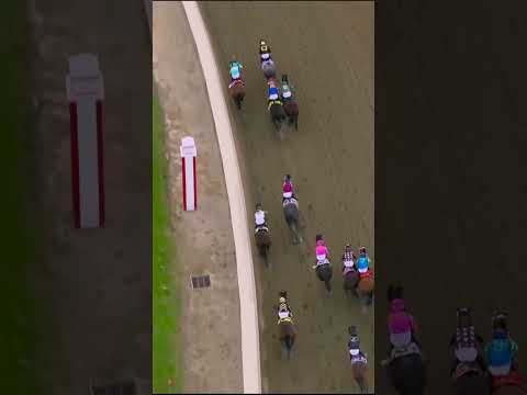 Overhead view of the 151st Preakness Stakes 🏇👑