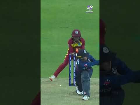 So much class from the latest @DPWorldinfo Smart Delivery compilation at the #t20worldcup 🏏