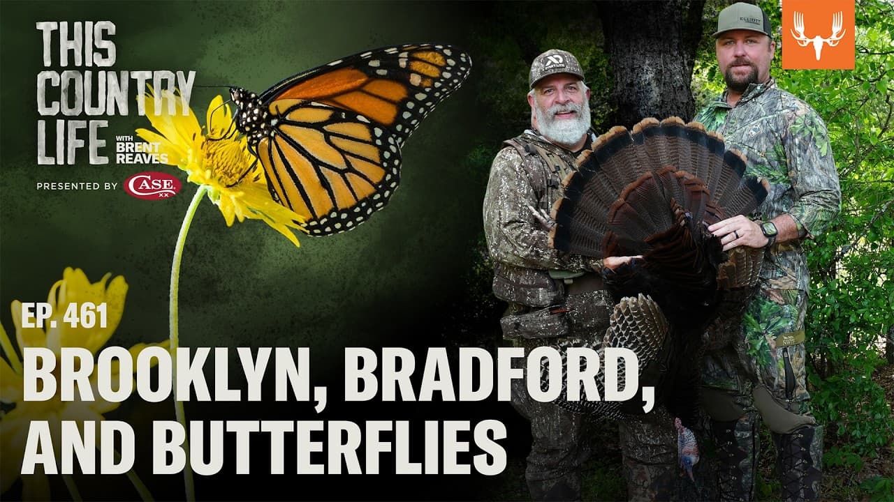 Brooklyn, Bradford, and Butterflies | This Country Life Ep. 461