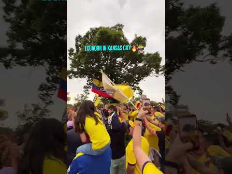 #Ecuador fans bringing the energy in KC 🇪🇨🤯 #soccer #fifaworldcup #worldcup (🎥 Visit KC)