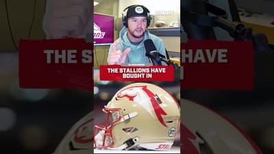 The Stallions Have Bought In